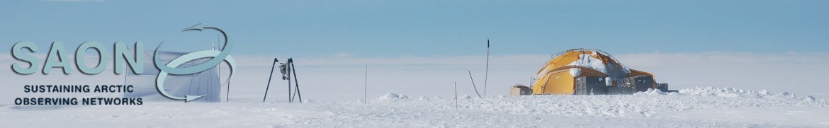 Sustaining Arctic Observation Networks